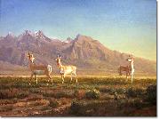 Prong-Horned Antelope Bierstadt